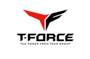 T force Gamer